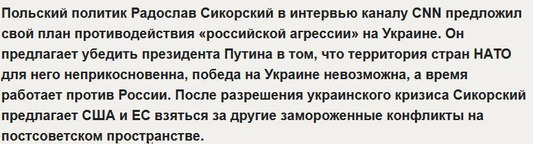 Сикорский рассказал CNN, как победить Путина