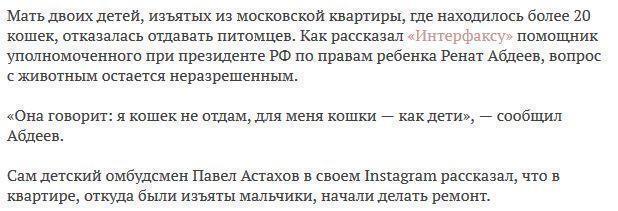 Москвичка отказалась избавиться от 20 кошек ради возвращения детей в семью