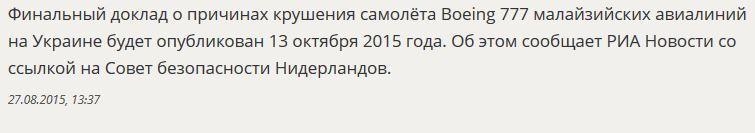 Совбез Нидерландов назвал дату публикации доклада о крушении MH 17