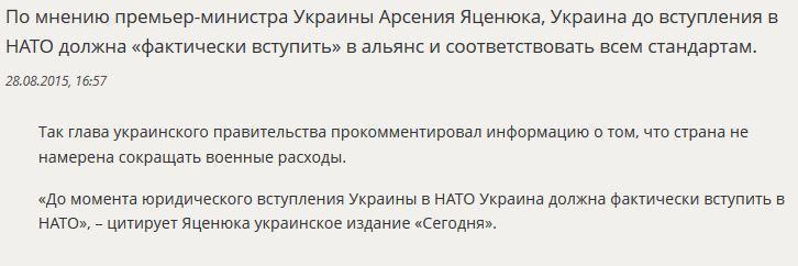 Арсений Яценюк: Украина должна вступить в НАТО до вступления в НАТО