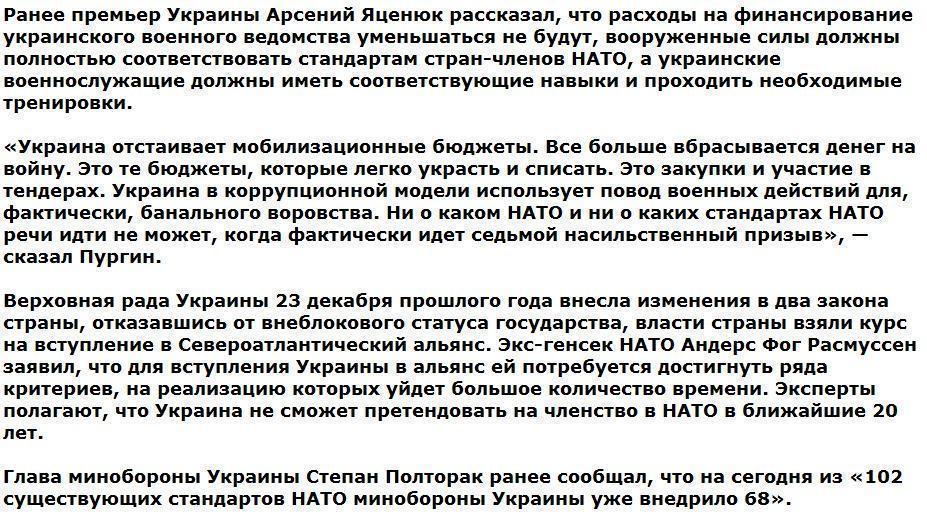 Пургин: власти Украины стремятся в НАТО, чтобы украсть побольше денег