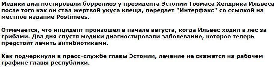 У президента Эстонии после укуса клеща диагностировали боррелиоз