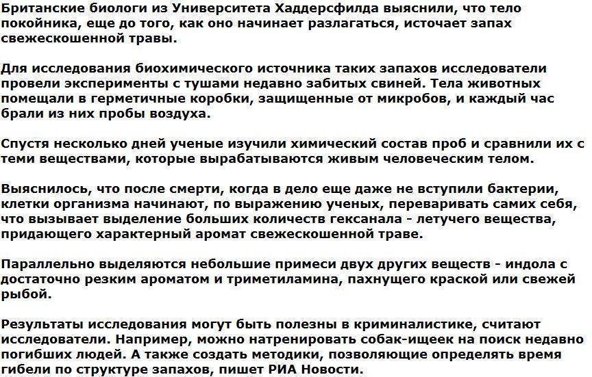 Исследование: Смерть пахнет свежескошенной травой