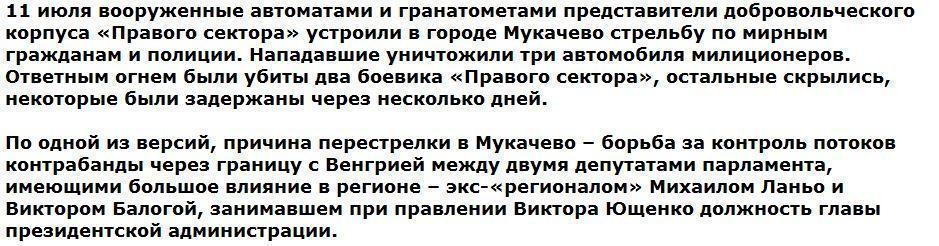 Москаль: Нападавшие на Мукачево боевики «Правого сектора» странным образом умирают