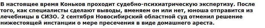 Друг подростка-убийцы шокировал Новосибирск новыми деталями трагедии