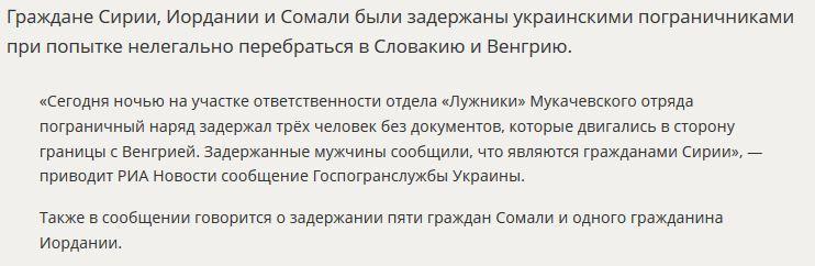 Украинские пограничники задержали пытавшихся пробраться в ЕС беженцев