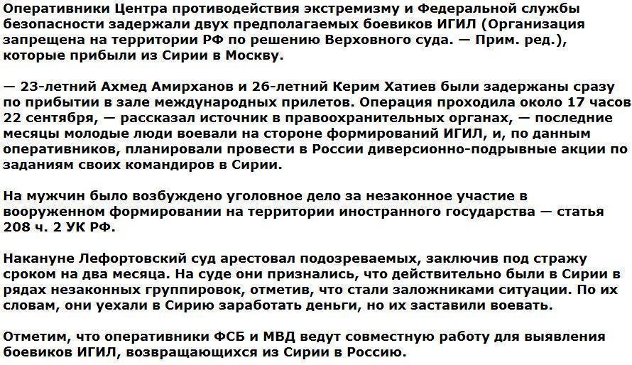 В аэропорту Шереметьево задержаны двое боевиков ИГИЛ