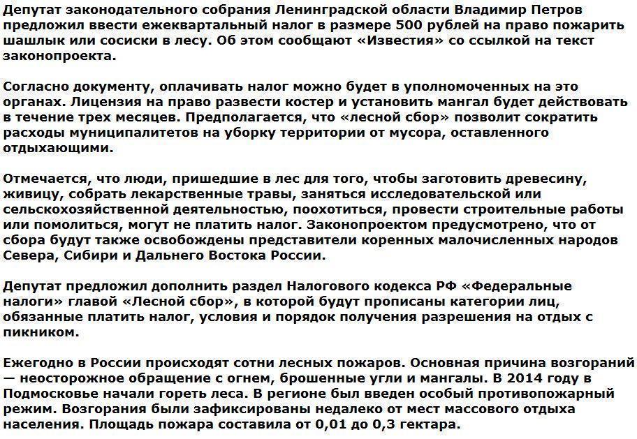 В России предложили ввести «налог на шашлык» в лесу