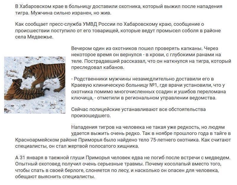 В Хабаровском крае охотник выжил после встречи с тигром