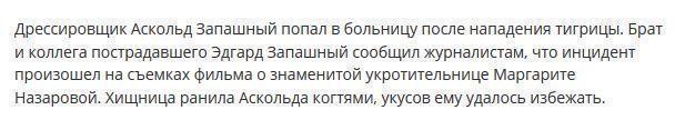 Дрессировщик Аскольд Запашный попал в больницу после нападения тигра