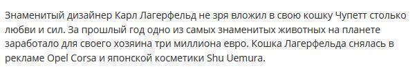 Кошка Карла Лагерфельда заработала 3 миллиона евро за год