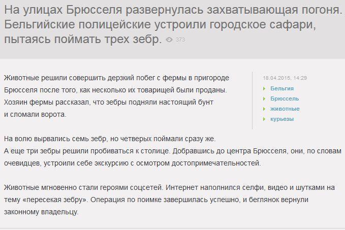 Сбежавшие с фермы зебры устроили переполох в центре Брюсселя