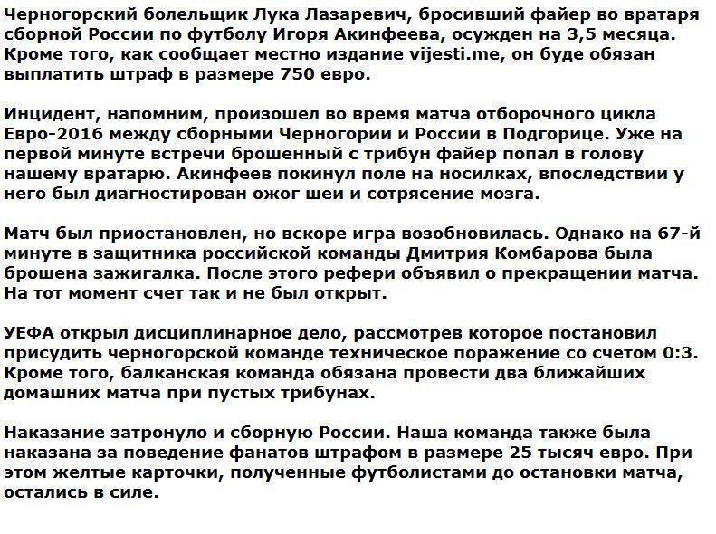 Болельщик, травмировавший Акинфеева, осужден на 3,5 месяца