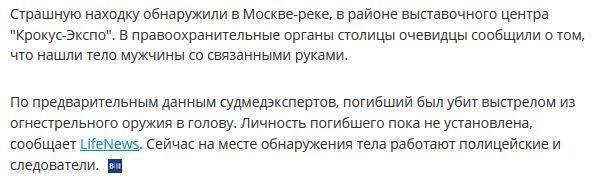 Из Москвы-реки выловили тело со связанными руками и пулей в голове