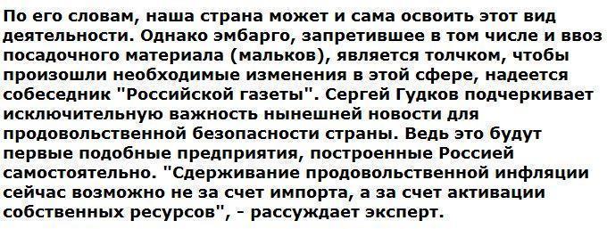 В России появится семга собственного производства