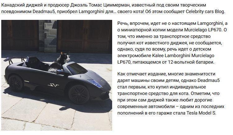 Канадский диджей купил мини-Lamborghini для кота