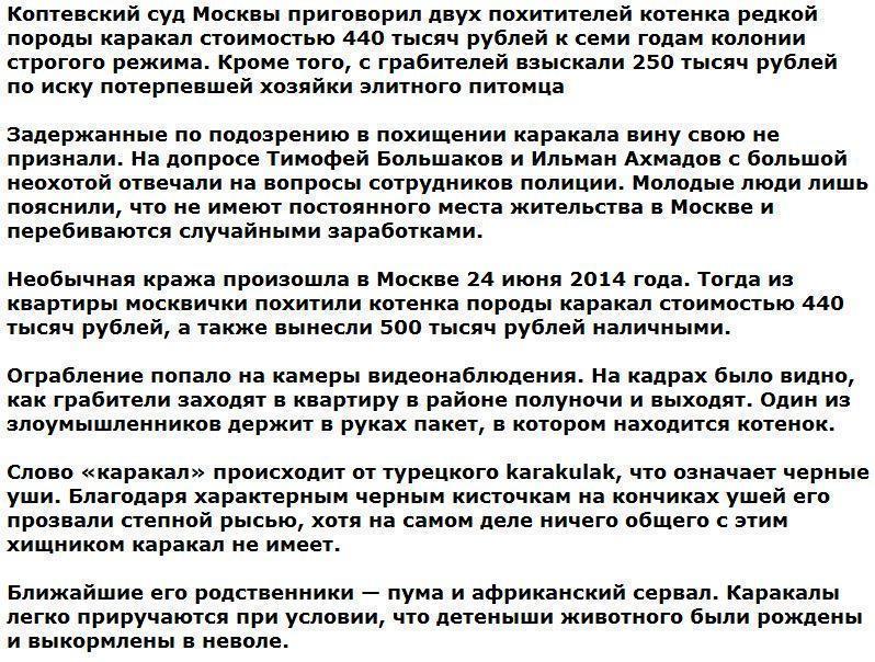 В Москве двое грабителей получили за кражу котенка по 7 лет