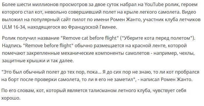 Кот неожиданно оказался на крыле самолета во время полета