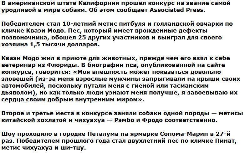 Самой уродливой собакой в США признали пса Квази Модо