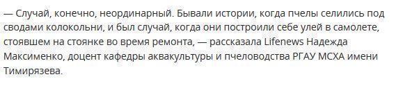 Тысячи пчел атаковали пассажирский «Аэробус» во Внуково