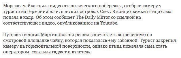 Завладевшая видеокамерой чайка засняла Атлантику и сделала селфи