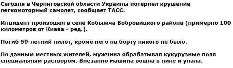 В 100 километрах от Киева разбился самолет