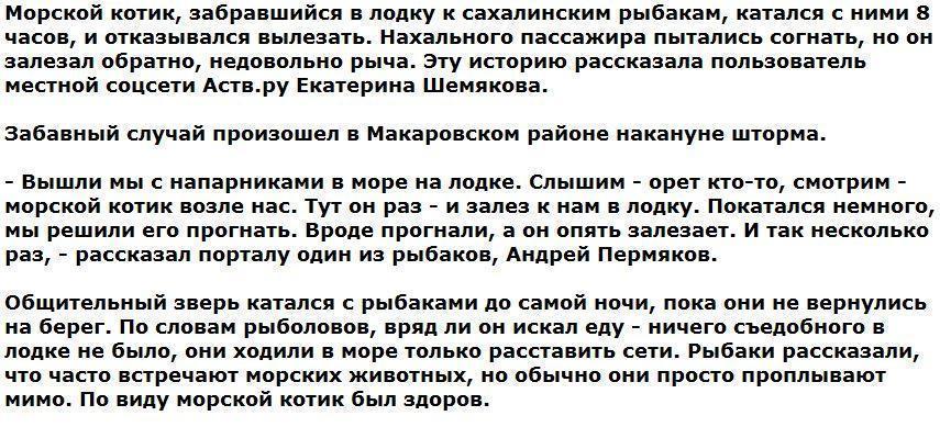 Наглый морской котик заставил рыбаков 8 часов катать его в лодке