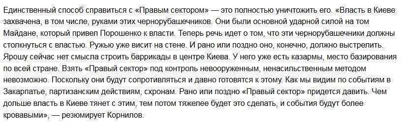 Политолог: Единственный способ общения с «правосеками» — уничтожение