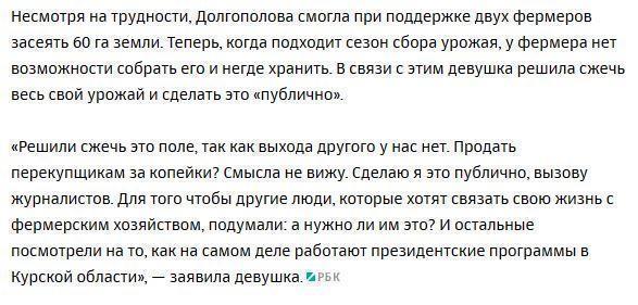 Фермер из Курской области пообещала сжечь урожай в обращении к Путину