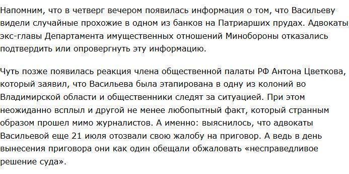 Адвокат допустил, что за Евгению Васильеву сидит другой человек