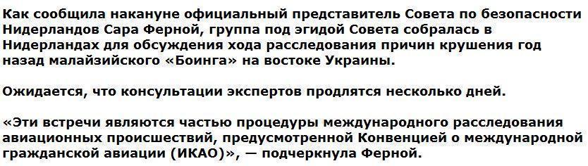 У международных следователей по сбитому «Боингу» появились части «Бука»